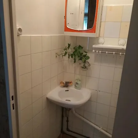 Just For Sleep Daily From 8pm To 10am